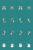 Body_6